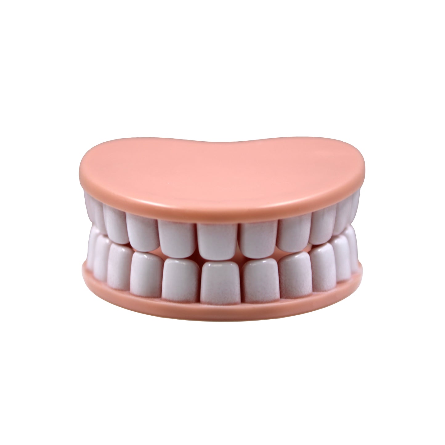 Denture Grip Bag Clip