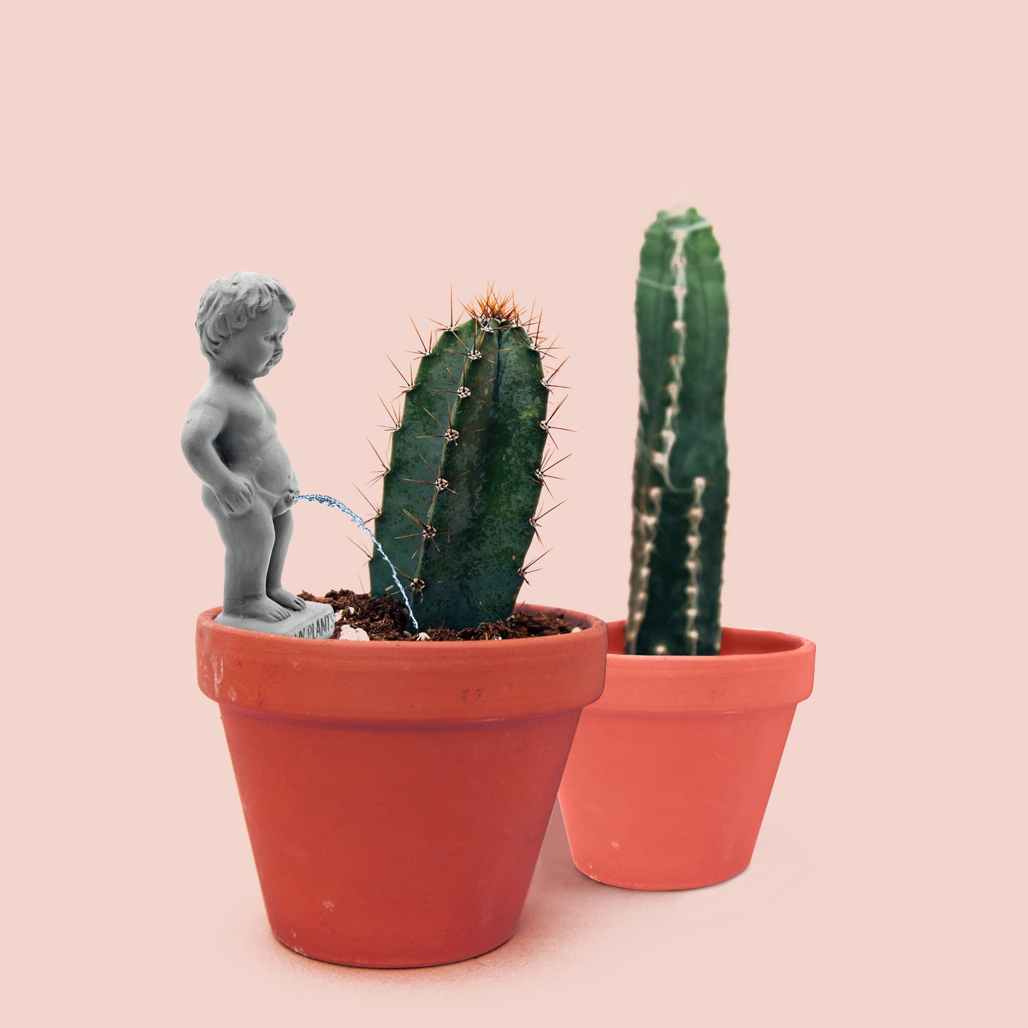 Plant Life Pee My Plants
