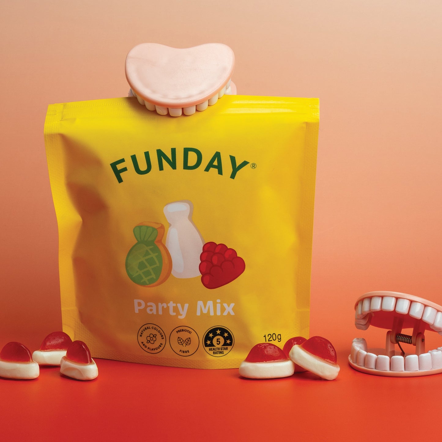 Denture Grip Bag Clip