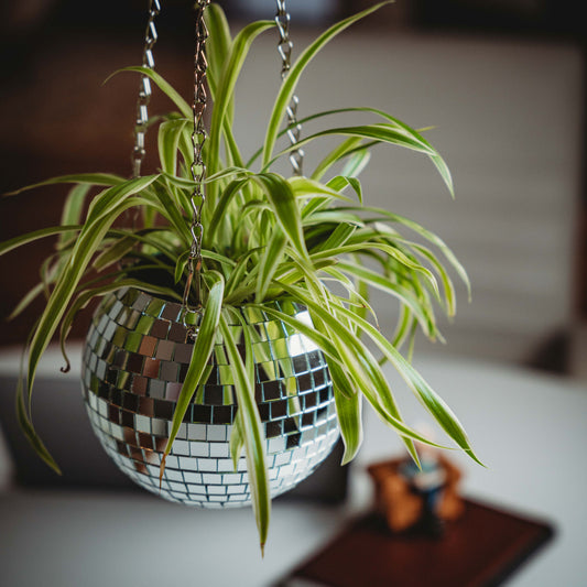 Disco Hanging Planter